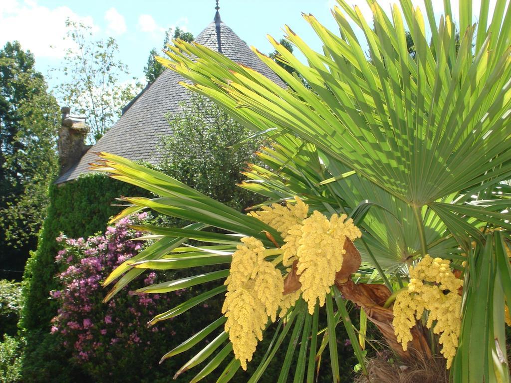 Chateau Le Val Brix Bagian luar foto